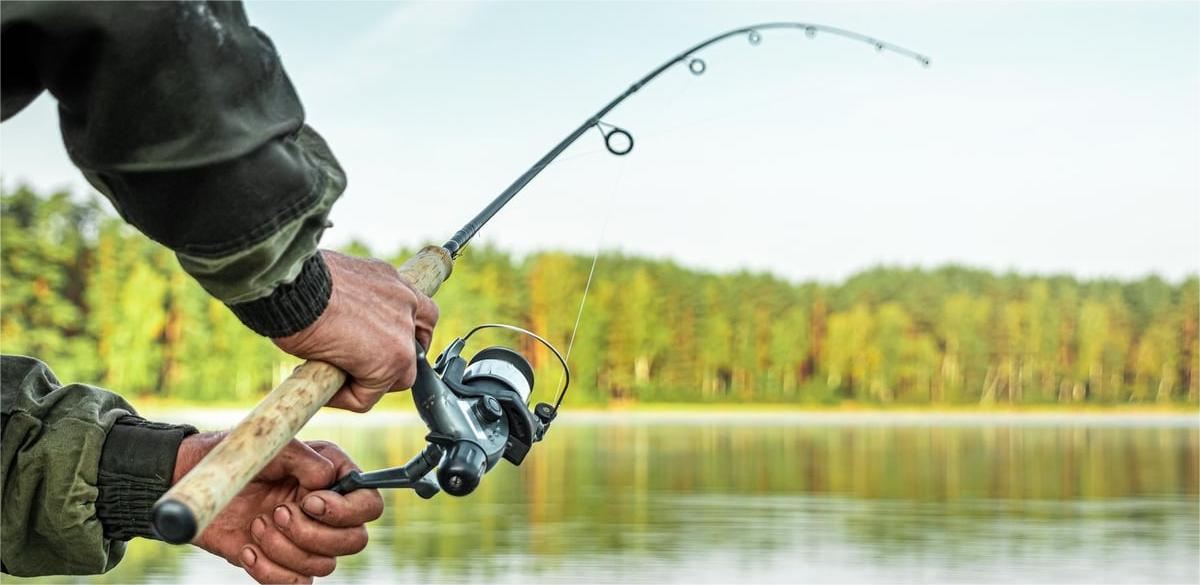 fishing Sales -fishing Sales T0FLMTQwMjY0NTg5