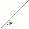 Fenwick Eagle Spinning Combo Rods & Reels -fishing Sales pflueger eagle spinning combo